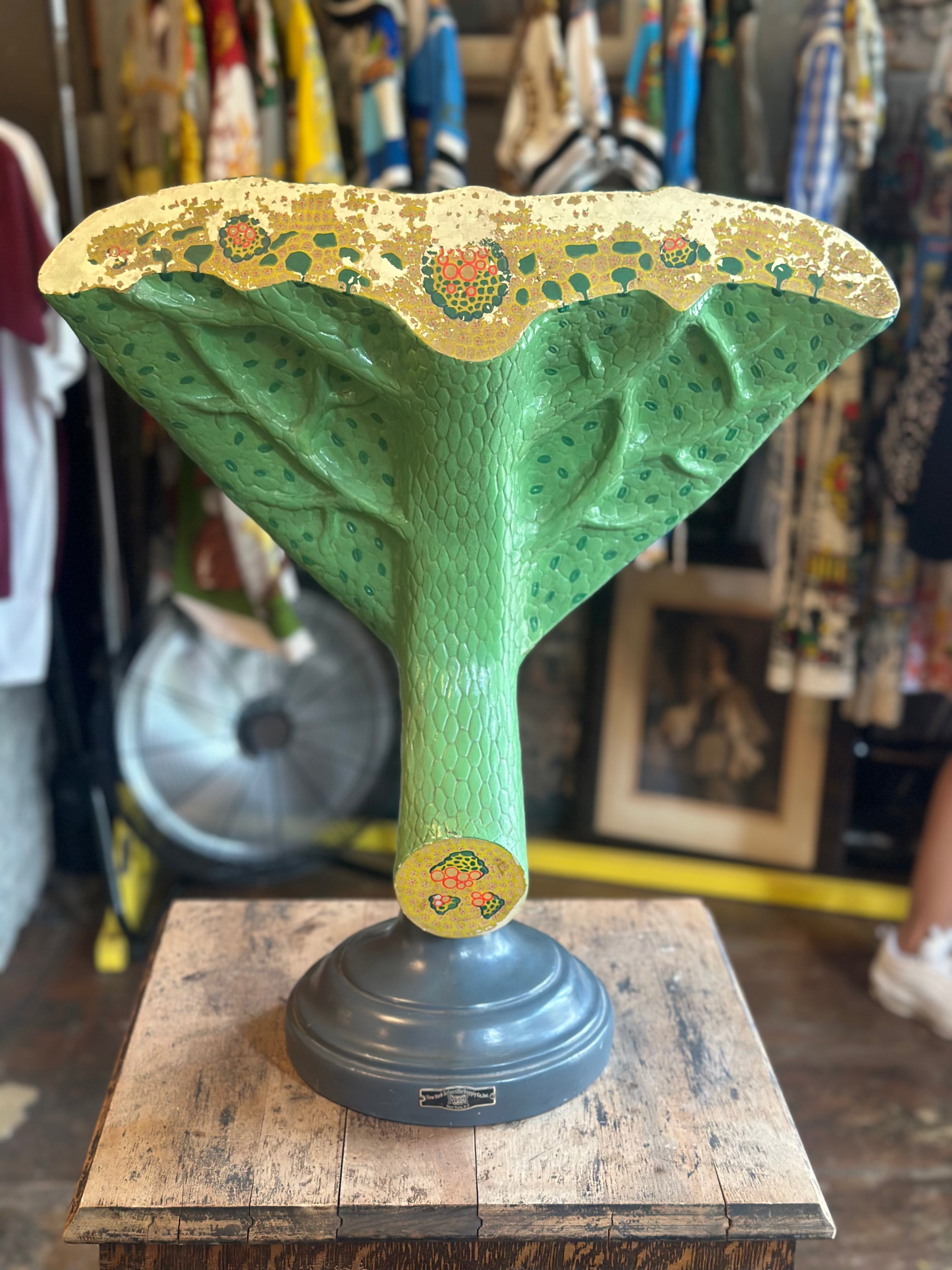 1950'S Science Class Leaf Model Grand Leaners