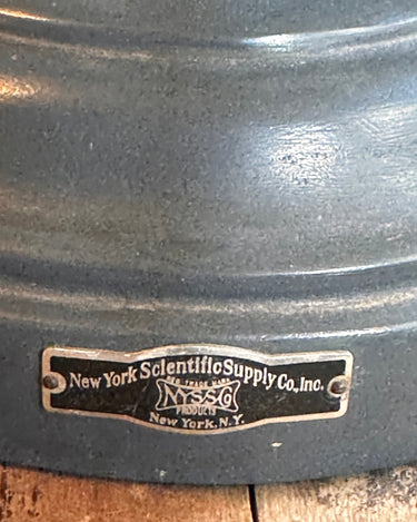 1950'S Science Class Leaf Model Grand Leaners